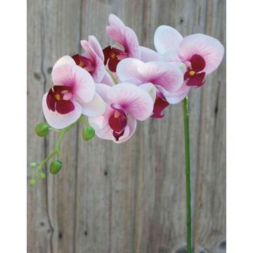 Kunstzweig Phalaenopsis Orchidee OPHELIA, rosa-pink, 80cm