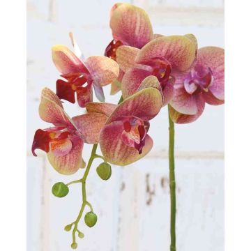 Kunstzweig Phalaenopsis Orchidee OPHELIA, pink-grün, 80cm