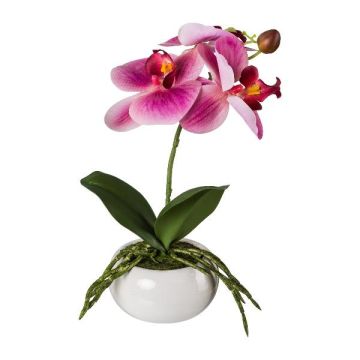 Plastikblume Phalaenopsis Orchidee KASDA, Keramikschale, Wurzeln, pink, 27cm