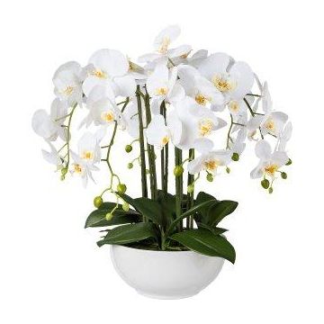 Plastikblume Phalaenopsis Orchidee KASDA, Keramikschale, Wurzeln, weiß, 55cm