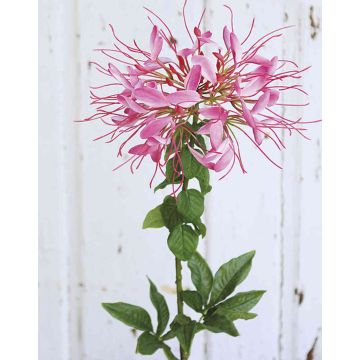 Kunst Spinnenblume HILDEGARD, rosa, 85cm, Ø20cm