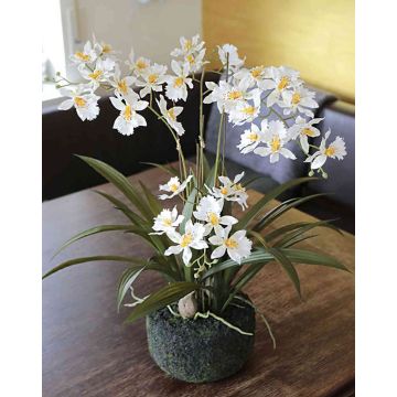 Textil Orchidee Oncidium AMELINA im Erdball, creme, 50cm