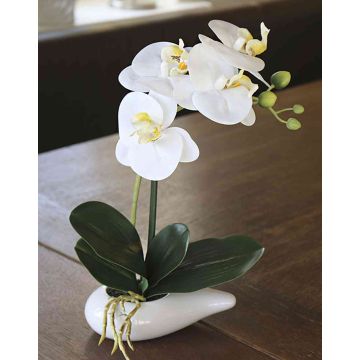 Deko Phalaenopsis Orchidee ZARMINAH im Keramikschale, weiß, 30cm