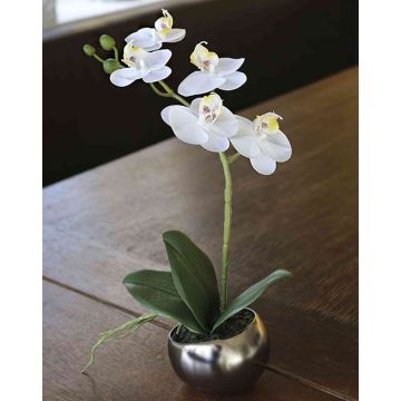 Deko Phalaenopsis Orchidee ZARMINAH im Keramiktopf, weiß, 30cm