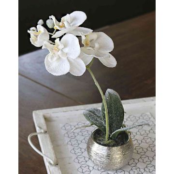 Kunst Phalaenopsis Orchidee KAREN, Dekotopf, gefroren, weiß, 35cm