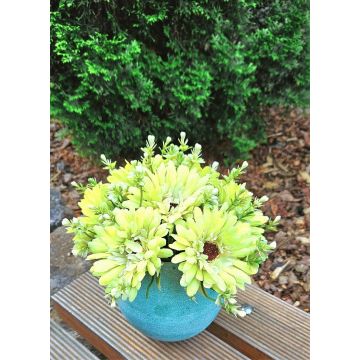 Kunstblumenstrauß Gerbera TEMBAR, grün-creme, 30cm, Ø22cm