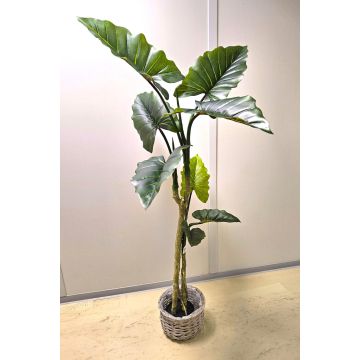 Künstliche Colocasia YORICK, grün, 180cm