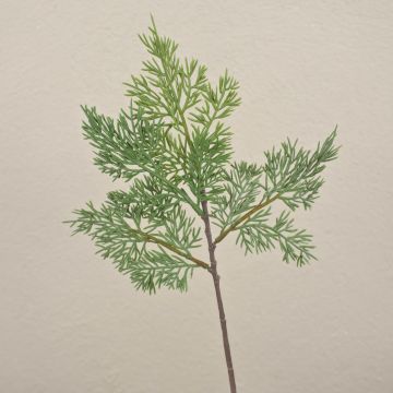 Deko Zedernzweig BALTHILDE, grün, 40cm