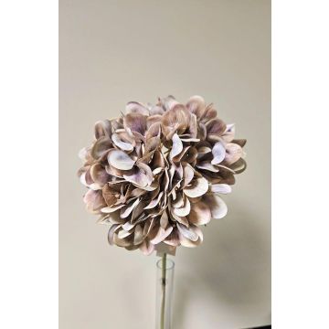 Kunstblume Hortensie MANDISA, beige-rosa, 65cm