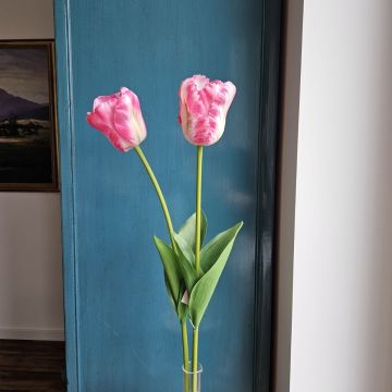 Künstliche Blume Tulpe PJASSINA, dunkelrosa-creme, 65cm