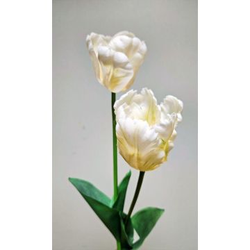 Künstliche Blume Tulpe PJASSINA, creme-weiß, 65cm