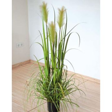 Künstliches Pampasgras Deko TALINDA mit Rispen, grün, 150cm