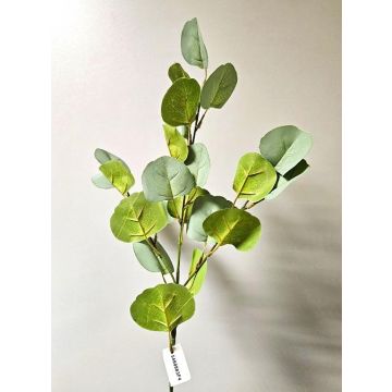 Kunst Eukalyptuszweig GONNE, grün, 75cm