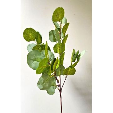 Kunst Eukalyptuszweig GONNE, grün, 85cm