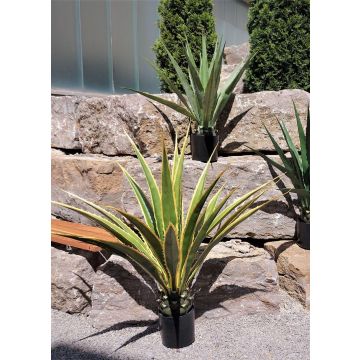 Kunst Agave furcraea gigantea CHERIE, grün-gelb, 100cm