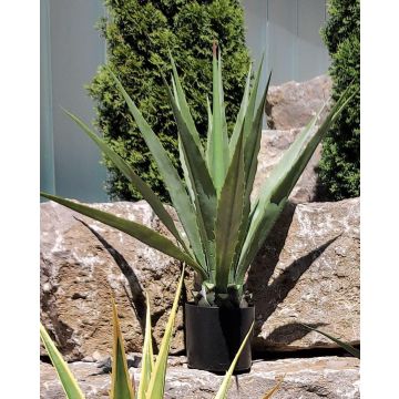 Kunst Agave furcraea gigantea CHERIE, grün-grau, 100cm