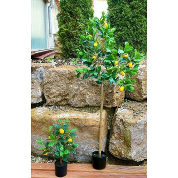 Kunst Zitronenbaum AINSLEY mit Früchten, Kunststamm, 200cm