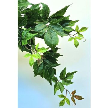 Kunstpflanze Dreispitzige Jungfernrebe ZANTI auf Steckstab, grün-braun, 50cm