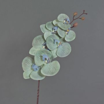 Kunstzweig Phalaenopsis Orchidee LAWANDA, mintgrün-hellblau, 80cm, Ø7-11cm