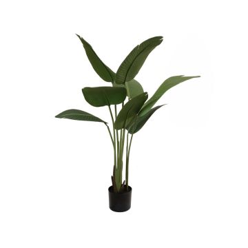 Unechte Pflanze Strelitzie PANAGIOTA, grün, 110cm