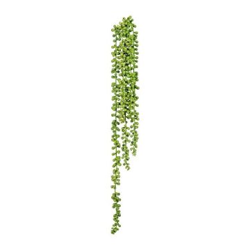 Künstliche Sukkulente Erbsenpflanze FERTIN, Steckstab, grün, 70cm