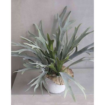 Kunstpflanze Geweihfarn GORAN, Terracotta Topf, grün-grau, 45cm, Ø65cm