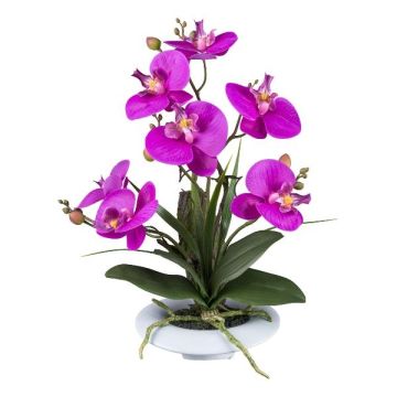 Kunstblumen Gesteck Orchidee Phalaenopsis HIKABU mit Korkenzieherweide, Keramiktopf, Wurzeln, lila, 40cm