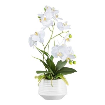 Kunstblumen Gesteck Orchidee Phalaenopsis FRUNKY mit Farn und Gras, Keramiktopf, Wurzeln, weiß, 60cm