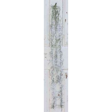 Kunst Tillandsia Usneoides TINNA, Steckstab, beschneit, grün-weiß, 100cm