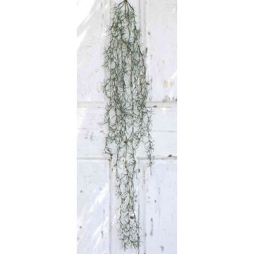 Kunst Tillandsia Usneoides DARLIN, Steckstab, grün, 120cm