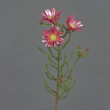 Künstliche Kap-Strohblume BEYA, rosa-pink, 60cm, Ø6cm