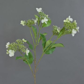 Hortensie Kunstblumenzweig KATHANI, weiß-grün, 80cm, Ø10-13cm