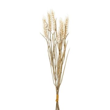 Kunst Weizen Bund TILPA mit Ähren, creme, 50cm