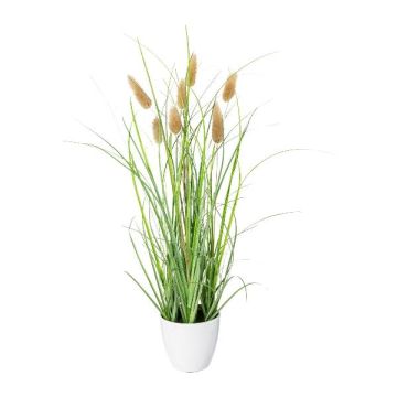 Dekogras Hasenschwanzgras BIRVO im Melamin-Übertopf, Rispen, beige, 40cm Dekogras Hasenschwanzgras BIRVO im Melamin-Übertopf, Rispen, beige, 40cm
