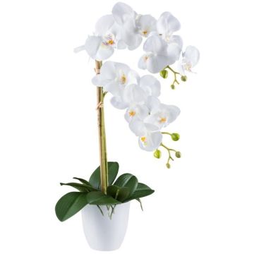Dekoblume Phalaenopsis Orchidee BLENTOR im Melamin-Übertopf, Wurzeln, weiß, 55cm