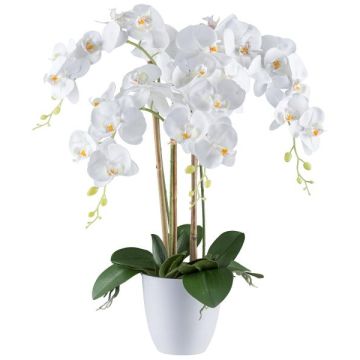 Dekoblume Phalaenopsis Orchidee BLENTOR im Melamin-Übertopf, Wurzeln, weiß, 60cm