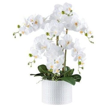 Dekoblume Phalaenopsis Orchidee TOUNI, Keramiktopf, Wurzeln, weiß, 60cm