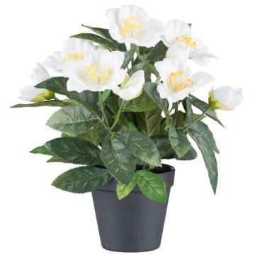 Dekoblume Christrose BRUNK, Dekotopf, weiß, 30cm