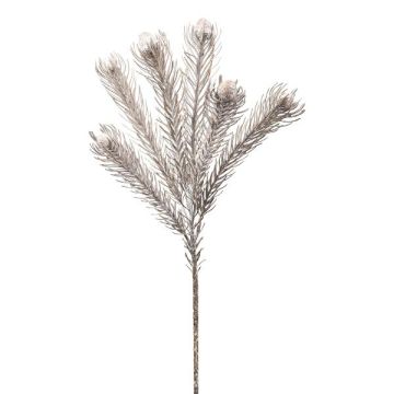 Deko Zweig Nadelkissen Protea ZANLI, gefroren, grau, 50cm
