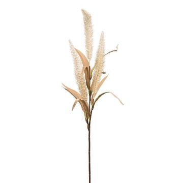 Dekozweig Borstenhirse KENFIR mit Rispen, creme, 70cm