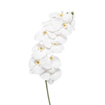 Künstlicher Phalaenopsis Orchideenzweig XURI, weiß, 95cm, Ø12,5cm