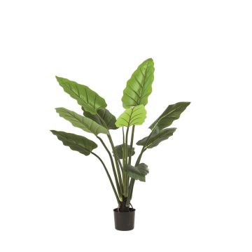 Künstliche Calathea Rufibarba NUSAKAN, grün, 120cm