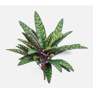 Kunstpflanze Calathea Makoyana MANAMI auf Steckstab, grün-rot, 40cm
