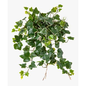 Künstliche Efeuranke LINNEO auf Steckstab, crossdoor, grün-weiß, 50cm