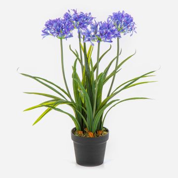 Künstliche Pflanze Agapanthus LESEDA im Dekotopf, blau, 65cm Künstliche Pflanze Agapanthus LESEDA im Dekotopf, blau, 65cm