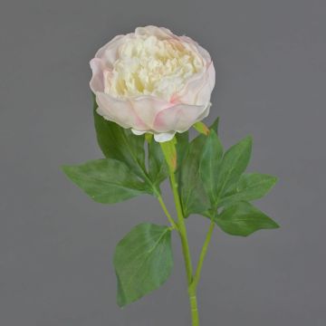 Kunstblume Pfingstrose SEDFY, creme-zartrosa, 60cm, Ø10cm