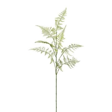Kunstzweig Asparagus Plumosus PLAVIN, grün, 85cm
