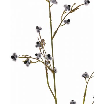 Künstliche Stirlingia latifolia COLLAN, schwarz-weiß, 85cm, Ø1cm