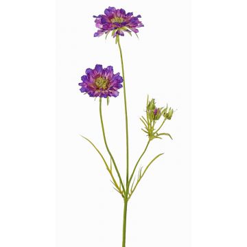 Künstliche Scabiosa ANDIA, lila-violett, 80cm, Ø8-10cm