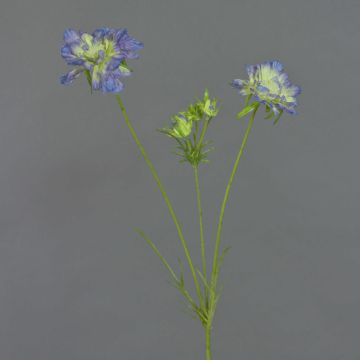 Künstlicher Zweig Scabiosa ANDIA, blau-lila, 80cm, Ø8-10cm